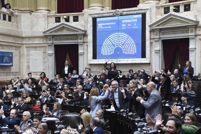 Diputados rechazó los vetos a la emergencia pediátrica y al financiamiento universitario